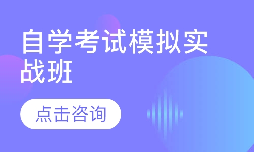 自学考试模拟实战班